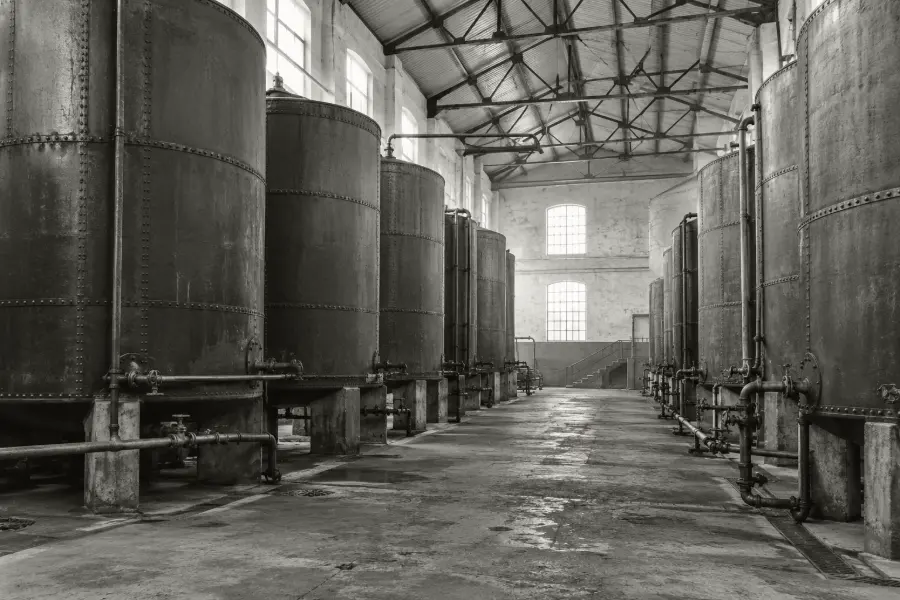 Continuity of the family business
